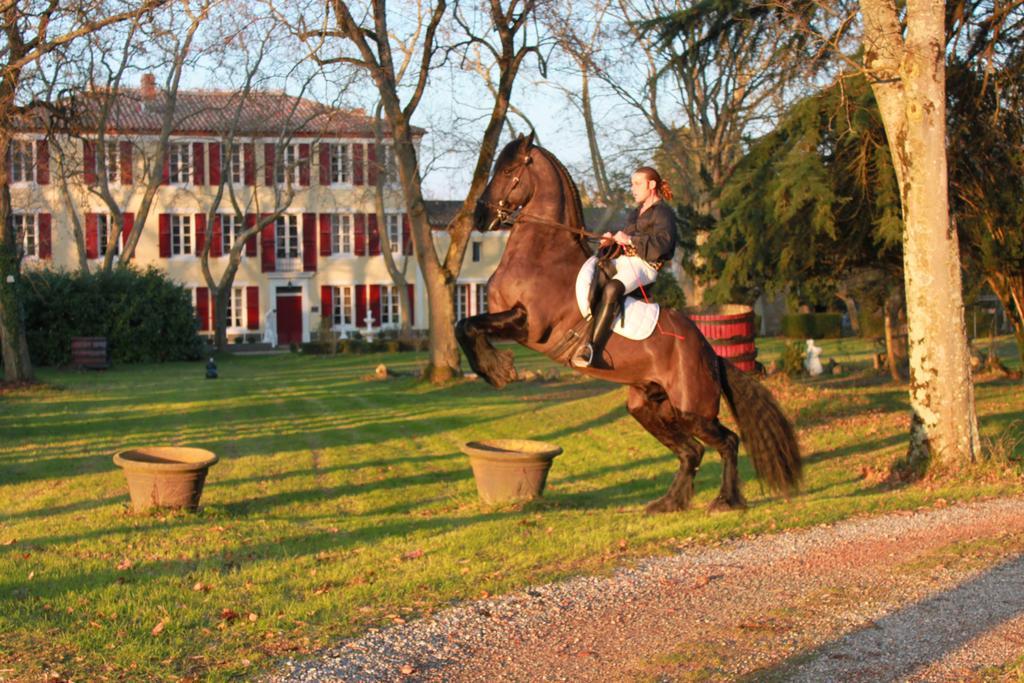 Le Relais Du Silence Chateau Lavail Labastide-dʼAnjou Exterior foto